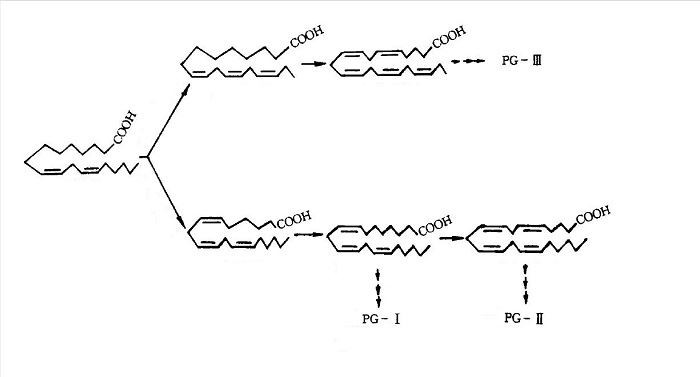 product-700-377 Physiological function flow chart