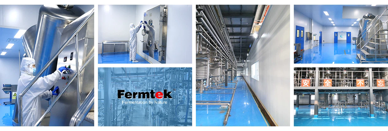 Advanced-Manufacturing-Facilities2(1)