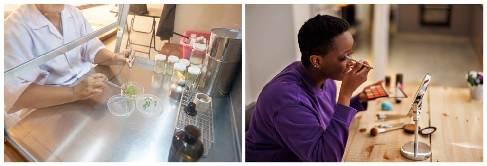 Daily use of cosmetics Daily use of cosmetics