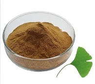 Ginkgo Biloba Ekstrakt Prah