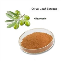 Oleuropein prah