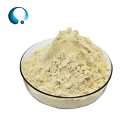 Sojini proteini u prahu